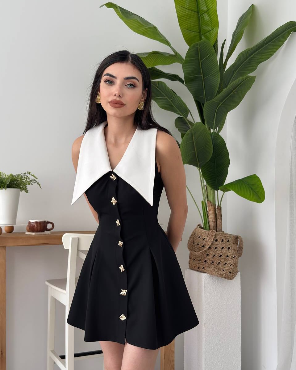 Classic Dress with Lapel Collar
