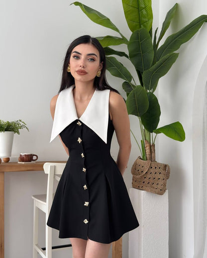 Classic Dress with Lapel Collar