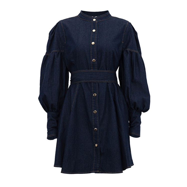 Elegant Denim Dress