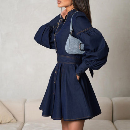 Elegant Denim Dress